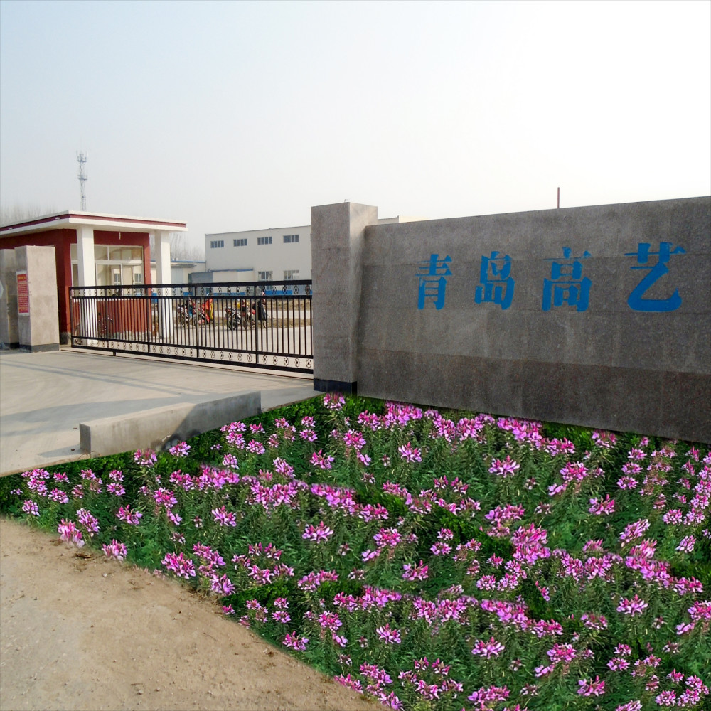 China Qingdao High Art Glass Co., Ltd.