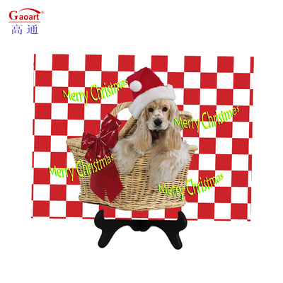 Seasonal Kitchen Tool Utility Tempered Glass Cutting Board 8X12 with Striated Design
