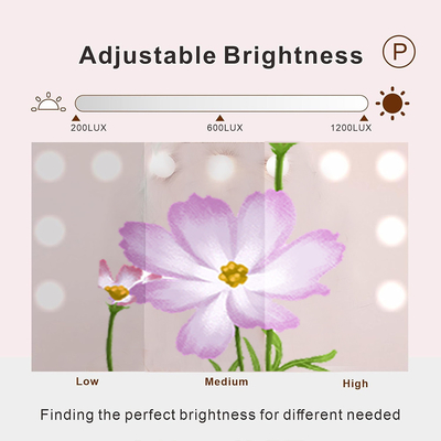 Get the Perfect Lighting for Your Beauty Routine with Hollywood Mirror